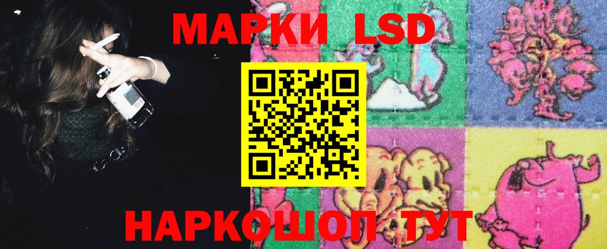 Галлюциногенные грибы Дальнереченск