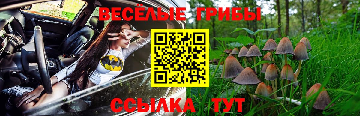 Галлюциногенные грибы GOLDEN TEACHER Дальнереченск
